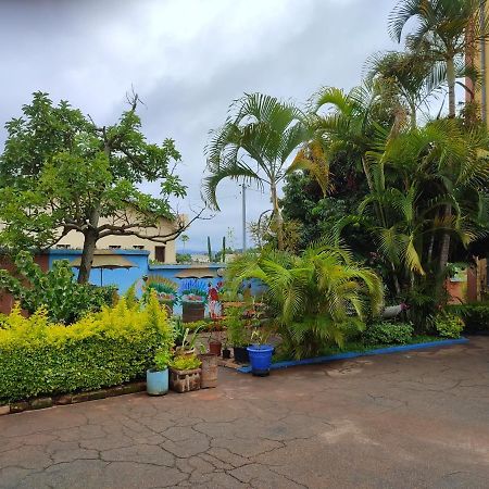 Hotel Ivato , Airport 塔那那利佛 外观 照片