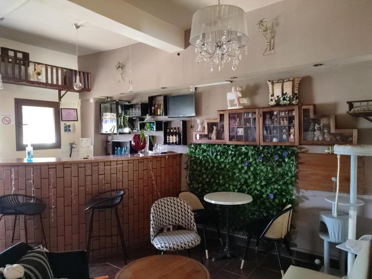 Hotel Ivato , Airport 塔那那利佛 外观 照片